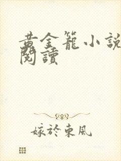 黄金笼小说免费阅读