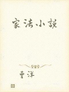 家法小说封面