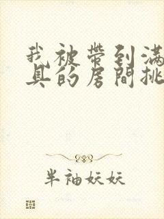 我被带到满是玩具的房间挑调游戏