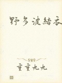 野多波结衣封面