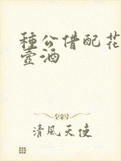 种公借配花间一壶酒