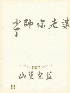 少帅你老婆又跑了