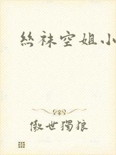 丝袜空姐小说封面