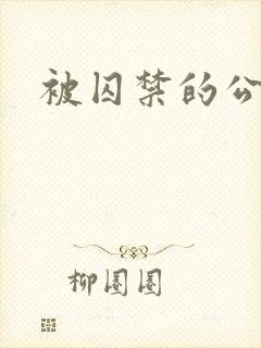 被囚禁的公主封面