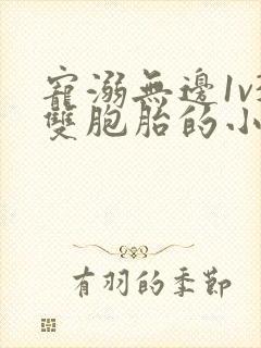 宠溺无边1v3双胞胎的小说