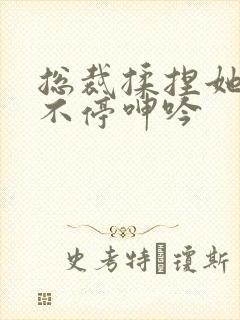 总裁揉捏她两乳不停呻吟