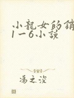 小龙女的销魂夜1一6小说封面