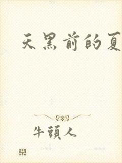天黑前的夏天