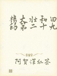 杨大壮和田桂花的第二十九