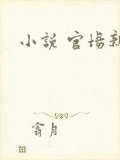 小说 官场新贵封面