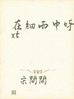 在细雨中呼喊txt