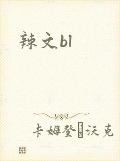 辣文bl封面