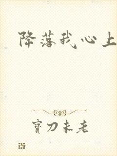 降落我心上
