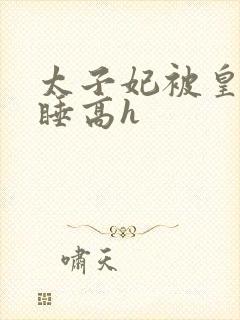 太子妃被皇上强睡高h封面