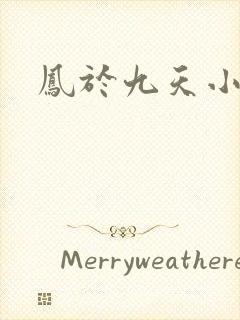 凤于九天小说封面