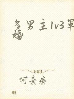 多男主1v3军婚