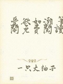 爱欲如潮 笔趣阁免费阅读封面