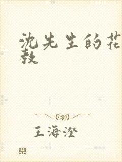 沈先生的花式调教