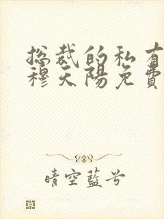 总裁的私有宝贝穆天阳免费封面