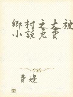 乡村之大被同眠小说免费封面