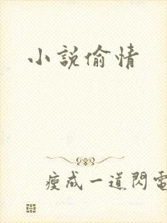 小说偷情