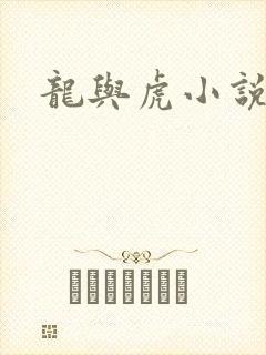 龙与虎小说