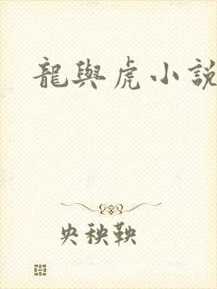 龙与虎小说