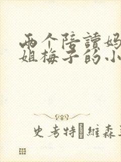 两个陪读妈妈赵姐梅子的小说