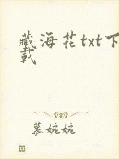 藏海花txt下载