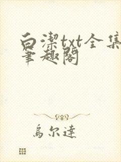 白洁txt全集笔趣阁封面