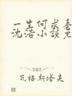 一生何求秦菲雪沈浩小说免费阅读全文