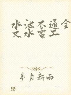 水泄不通金银原文水电工