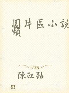 图片区小说区视频