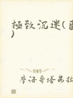 极致沉迷(臣年)封面