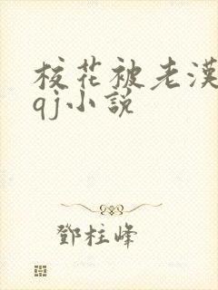 校花被老汉狂肉qj小说封面