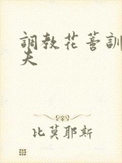 调教花蒂训诫从夫