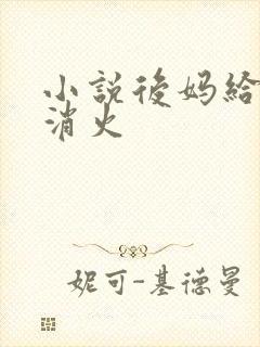 小说后妈给我消消火