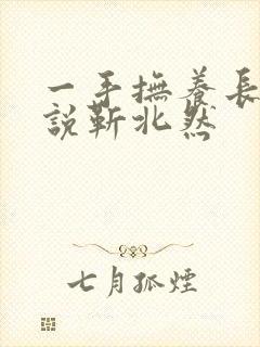 一手抚养长大小说靳北然