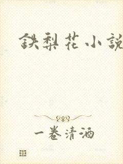 铁梨花小说