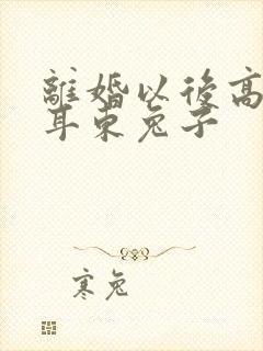 离婚以后高干 耳东兔子