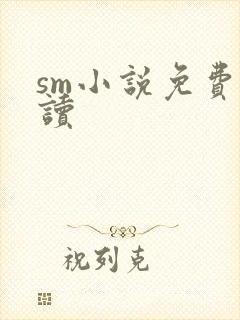 sm小说免费阅读