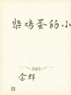 柴鸡蛋的小说封面