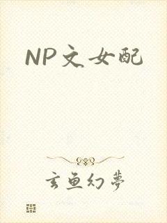 NP文女配