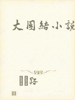 大团结小说阅读封面