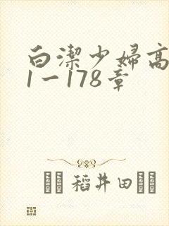白洁少妇高义第1一178章