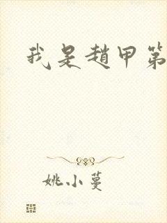 我是赵甲第小说封面