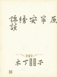 锦绣安宁原著小说