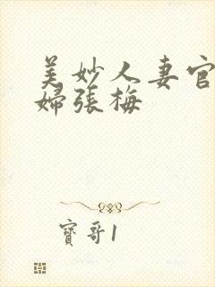 美妙人妻官场少妇张梅封面