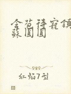 含苞待宠镇国公苏圆圆封面