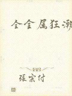 全金属狂潮小说